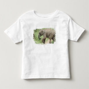 Baby Elephant following the mother,Corbett Toddler T-Shirt