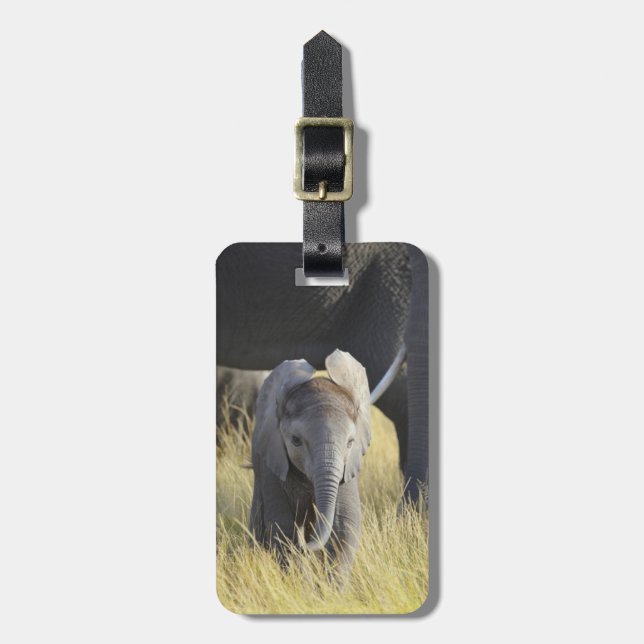 Baby Elephant Luggage Tag (Front Vertical)