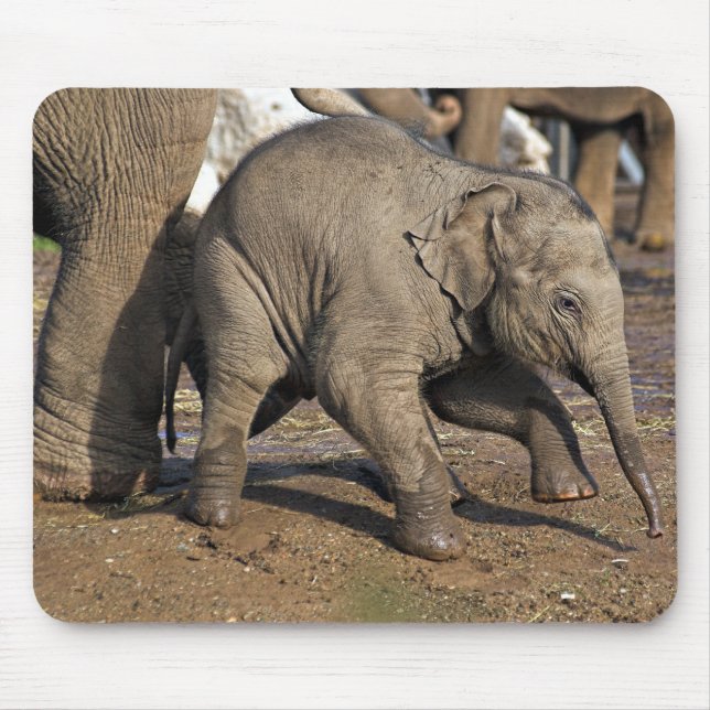 Baby elephant mouse pad (Front)