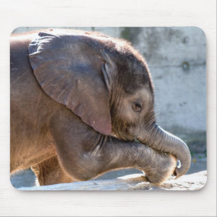 Baby Elephant Mouse Pad