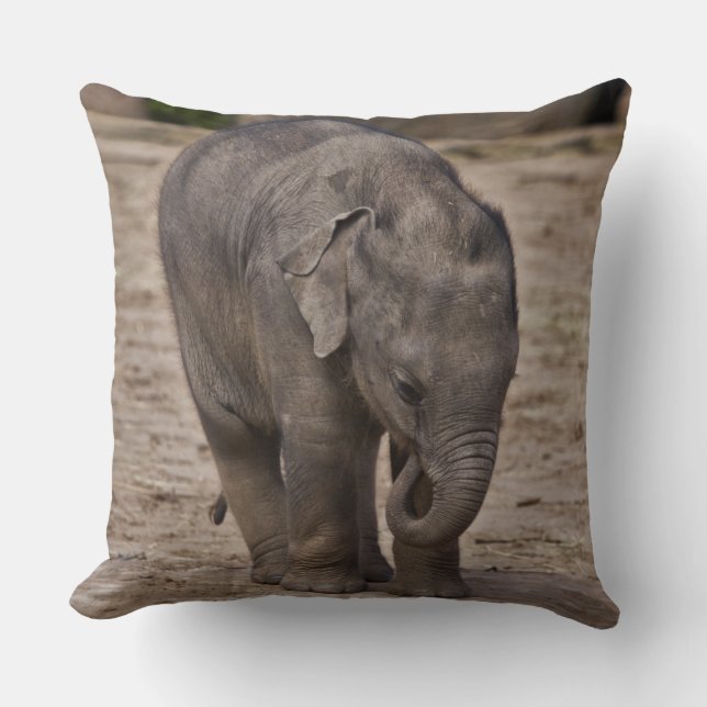 Baby Elephant Pillow (Front)