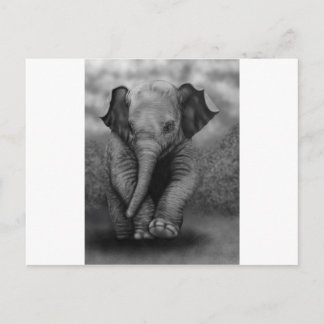 Baby Elephant Postcard