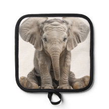 Baby Elephant 
