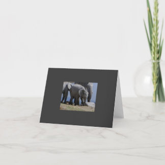 Baby Elephant Walk Card