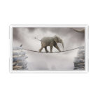 Baby Elephant Walks The Tightrope