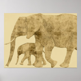 Baby Elephant with it's Mother Poster