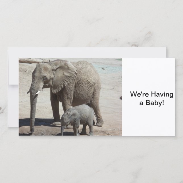 Baby Elephant with Mummy Announcement (Front)