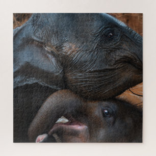 Baby Elephants in Water Smiling Jigsaw Puzzle