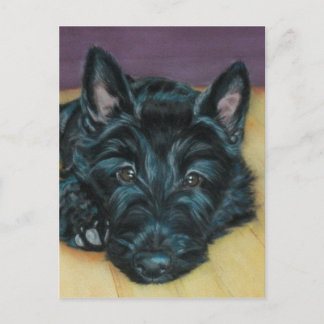 'Baby Em' - Scottie puppy Postcard