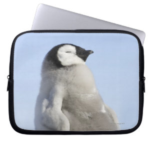 Baby Emperor Penguin, Snow Hill Island Laptop Sleeve