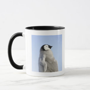 Baby Emperor Penguin, Snow Hill Island Mug