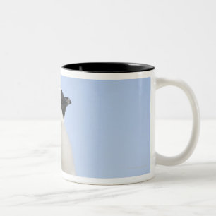 Baby Emperor Penguin, Snow Hill Island Two-Tone Coffee Mug