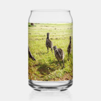 Baby Emu Chicks And Big Foot,