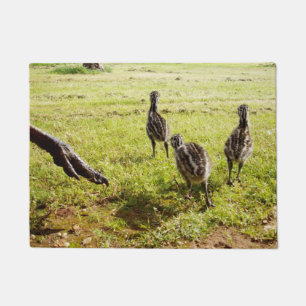 Baby Emu Chicks And Big Foot, Doormat