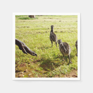 Baby Emu Chicks And Big Foot, Napkin