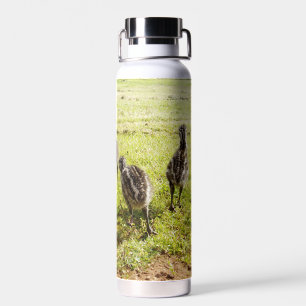 Baby Emu Chicks And Big Foot, Water Bottle