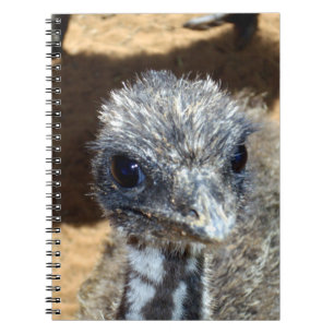 Baby Emu Face, Notebook