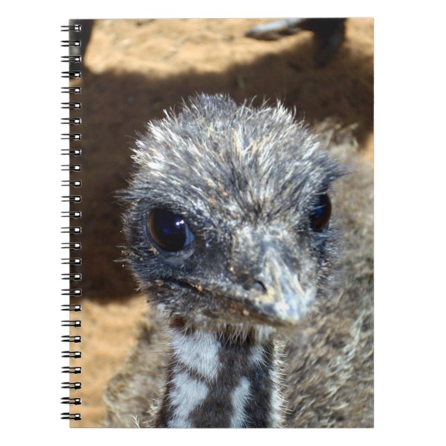 Baby Emu Face, Notebook (Front)