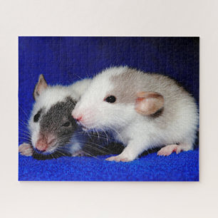 Baby Fancy Pet Rat Pups Jigsaw Puzzle