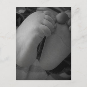 Baby Feet Postcard