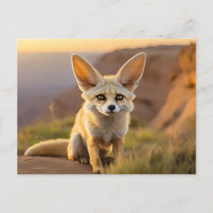 Baby Fennec fox on cliff Postcard