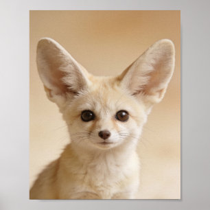 Baby Fennec Fox Portrait – Cute Nursery Animal Wal Poster