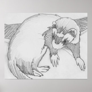"Baby" Ferret Drawing Poster