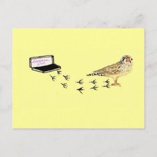 Baby Finch's Foot Prints Postcard