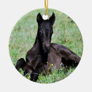 Baby foal lying in the meadow christmas tree ceramic tree decoration