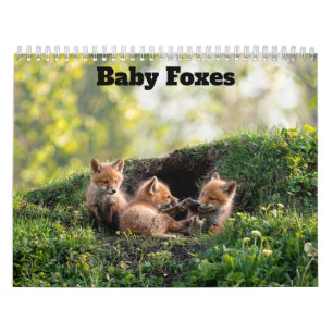 Baby Foxes 2027 Calendar