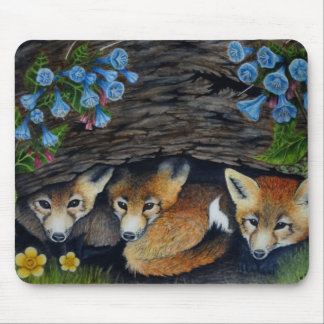 Baby foxes and flowers mousepad