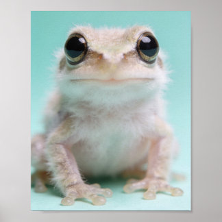 Baby Frog Portrait – Pond Nursery Wall Art