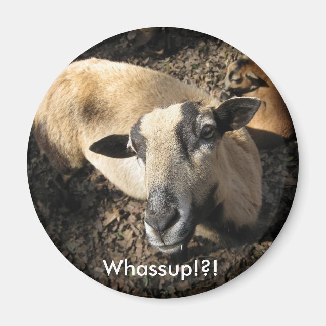 Baby from The Black Oak Ranch Magnet (Front)