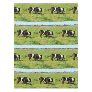 Baby Galloway Cows In The Country, Tablecloth
