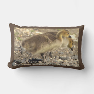 Baby Geese Photo Pillow