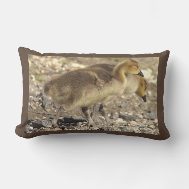 Baby Geese Photo Pillow (Front)