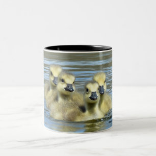 Baby Geese Two-Tone Coffee Mug