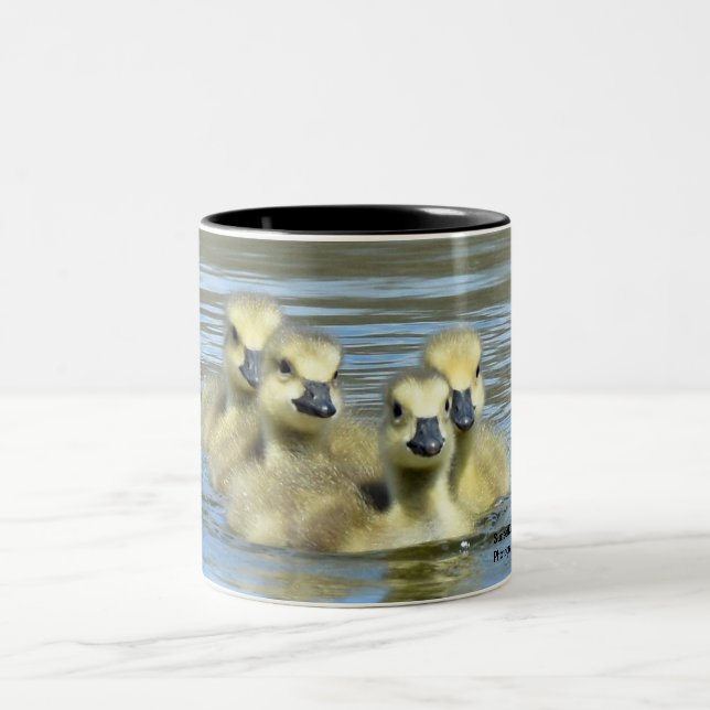 Baby Geese Two-Tone Coffee Mug (Center)