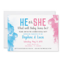 Baby Gender Reveal Smoke Bomb Blue and Pink Party