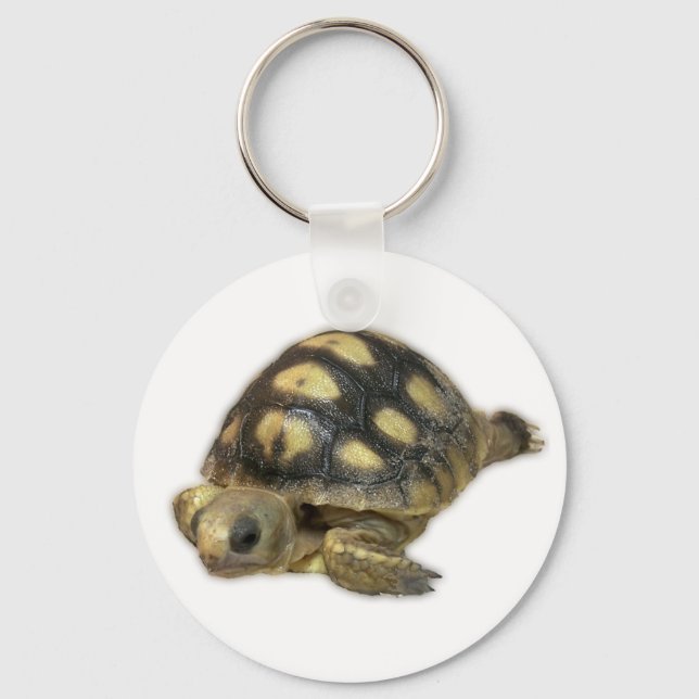 Baby Ghopher Tortoise Key Ring (Front)