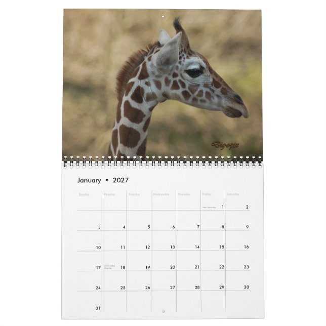 Baby Giraffe 2012 Calendar (Jan 2027)
