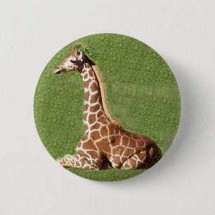 Baby Giraffe 6 Cm Round Badge