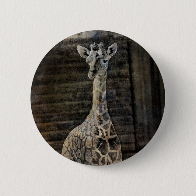 Baby Giraffe 6 Cm Round Badge (Front)