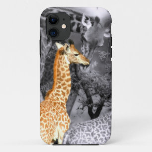 Baby Giraffe iPhone 11 Case