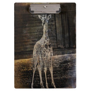 Baby Giraffe Clipboard
