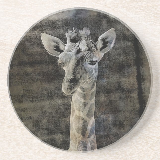 Baby Giraffe Coaster (Front)