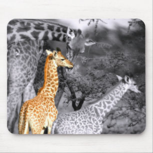 Baby Giraffe Mouse Pad