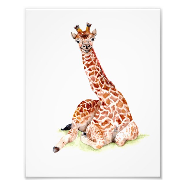 Baby Giraffe Photo Print (Front)