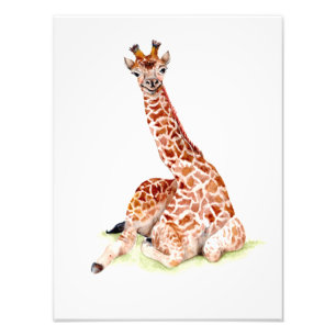 Baby Giraffe Photo Print