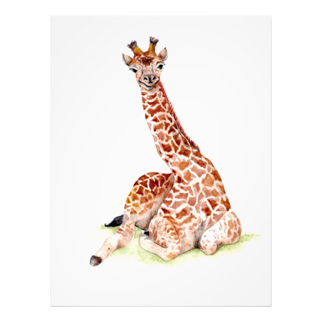 Baby Giraffe Photo Print (Front)